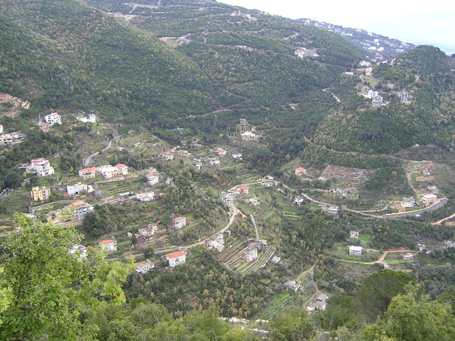 dlebtavillage