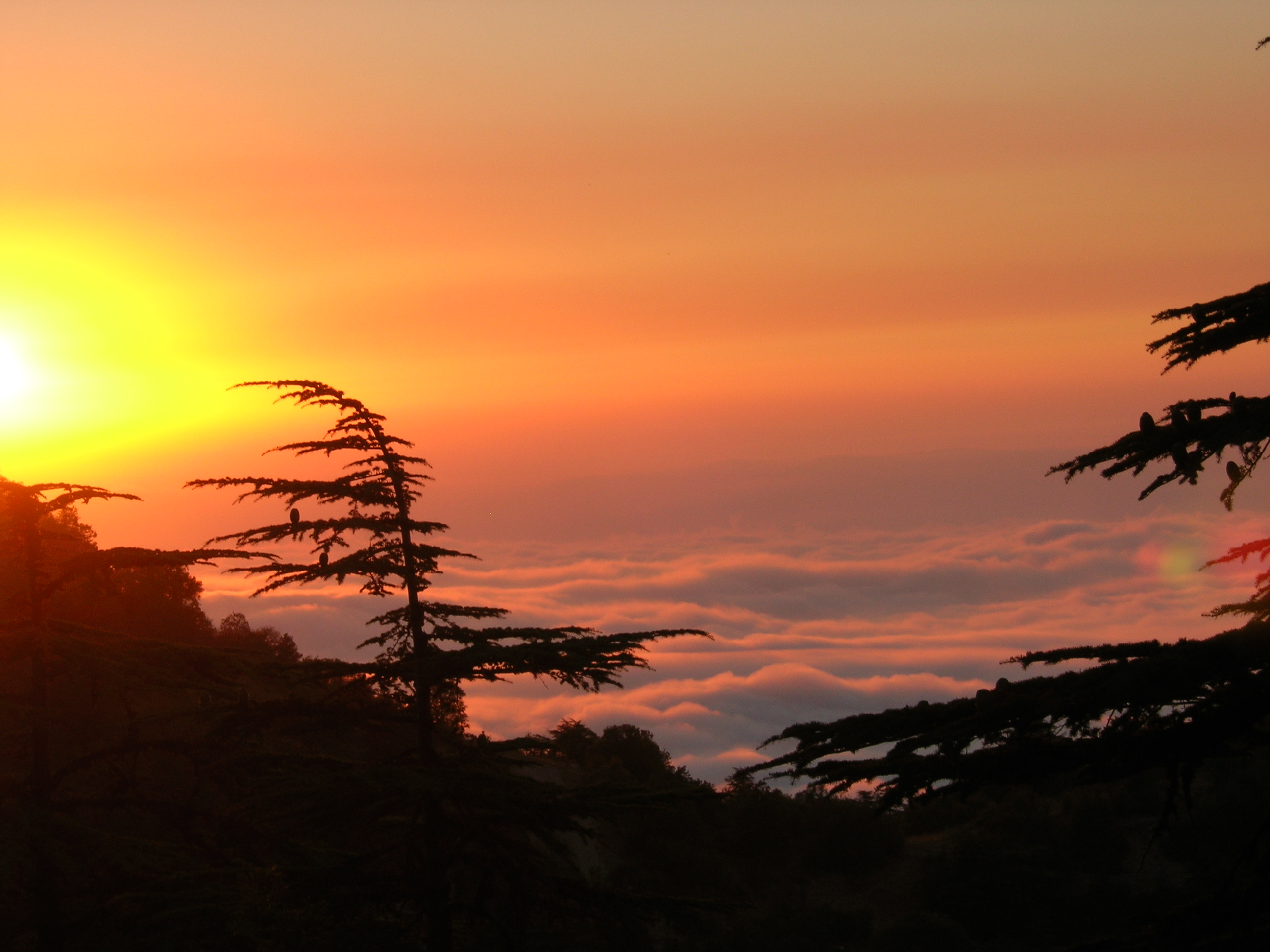 horsh-ehden-sunset